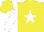 Silk - Yellow, white star, white sleeves