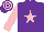 Silk - Purple, pink star, sleeves and hooped cap