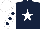 Silk - dark blue, white star, white sleeves, dark blue spots, white cap