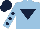 Silk - Light blue body, dark blue inverted triangle, light blue arms, dark blue spots, dark blue cap