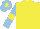 Silk - Yellow, light blue sleeves, yellow armlet, light blue cap, yellow star