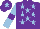 Silk - Purple, light blue stars, light blue sleeves, purple armlets, purple cap, light blue star