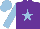 Silk - purple, light blue star, light blue sleeves and cap
