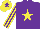 Silk - Purple, yellow star, striped sleeves, yellow cap, purple star