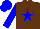 Silk - brown, blue star, blue sleeves and cap