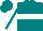 Silk - Teal, white hoop, grey horse, teal stripe on white sleeves