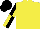 Silk - Yellow body, yellow and black quartered sleeves, black cap