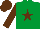 Silk - Emerald green, brown star, brown sleeves and cap