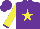 Silk - Purple, yellow star, yellow sleeves, yellow star on purple cuffs