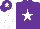 Silk - Purple, white star, white sleeves, purple cap, white star