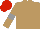 Silk - Light Brown, Grey armlets, Red cap