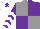 Silk - Grey and purple (quartered), purple and white chevrons on sleeves, white cap, purple star