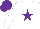 Silk - White, purple star and cap