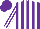 Silk - Purple, white stripes, striped sleeves