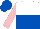 Silk - White and royal blue halved horizontally, pink sleeves, royal blue cap