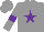 Silk - Grey, purple star, purple armlets