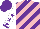 Silk - Purple,light pink diagonal stripes,white sleeves,purple stars,collar and cuffs,purple cap, l