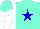 Silk - aqua, blue star, white sleeves