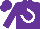 Silk - Purple, white horseshoe