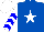 Silk - Royal blue, white star, white sleeves, blue chevrons, white cap