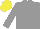 Silk - Grey body, grey arms, yellow cap