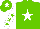 Silk - Light green, white star, white sleeves, light green stars, light green cap, white star