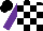 Silk - Black and white blocks, purple sleeves, black cap