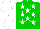 Silk - green, white stars, white sleeves and cap