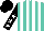 Silk - Turquoise, white stripes, white stars on black sleeves, black cap