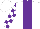 Silk - White, purple panel, purple blocks on sleeves, white cap