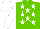 Silk - light green, white stars, white arms, white cap