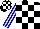Silk - Black and white blocks, yellow and blue stripes on sleeves, black and white blocks on cap