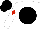 Silk - White, black disc, red diamond on white sleeves, black cap