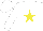 Silk - White, yellow star