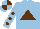 Silk - Light blue, brown triangle, brown dots on sleeves, light blue and brown quartered cap