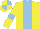 Silk - yellow with light blue stripe, light blue armlets, light blue quarters on cap