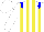 Silk - White, blue epaulettes, brown, blue and yellow stripes, white cap