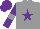 Silk - Grey, purple star, purple sleeves, grey armlets, purple cap