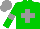 Silk - Green body, grey cross, green arms, grey armlets, grey cap