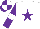 Silk - White, purple star, purple sleeves, white armlets, quartered cap
