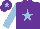 Silk - Purple, light blue star, sleeves and star on cap