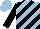 Silk - light blue, black diagonal stripes, black sleeves, light blue cap