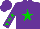 Silk - Purple, green star, green stars on sleeves, green star on purple cap