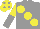 Silk - Grey body, yellow large spots, yellow and grey halved sleeves, yellow cap, grey spots