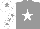 Silk - Grey, white star, white sleeves, grey stars, white cap, grey star