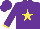 Silk - Purple, yellow star, yellow cuffs, purple cap
