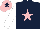 Silk - Dark blue, pink star, white sleeves, pink cap, dark blue star