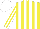 Silk - Yellow, white stripes, white stripes on sleeves, yellow & white cap