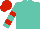 Silk - Turquoise, red rabbit, red bars on sleeves, red cap