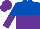 Silk - Royal blue and purple halved horizontally, halved sleeves, purple cap